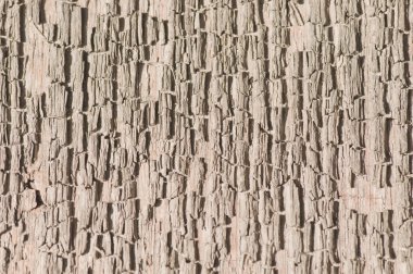 Eski ahşabın dokusu.