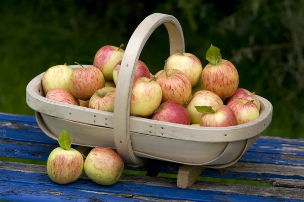 Свежие яблоки в деревянном трюге — стоковое фото