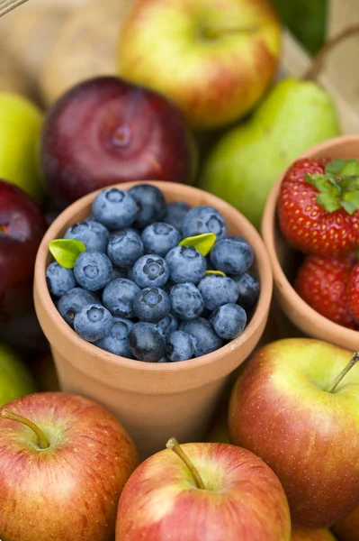 Produtos de fruta de verão — Fotografia de Stock