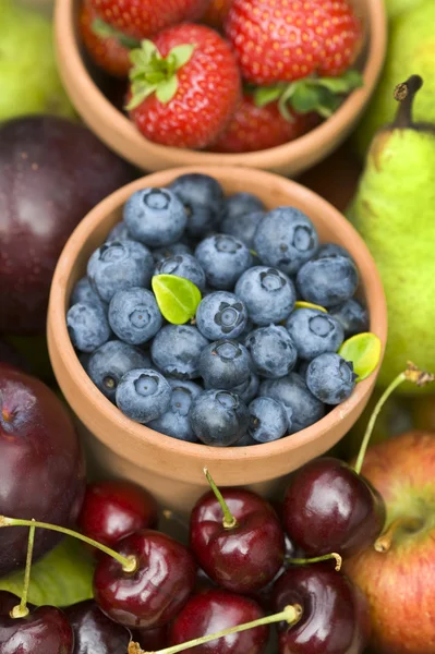 Summer fruit produce — Stock Photo, Image