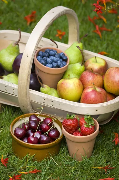 Trug of summer fruit — Stock Photo, Image