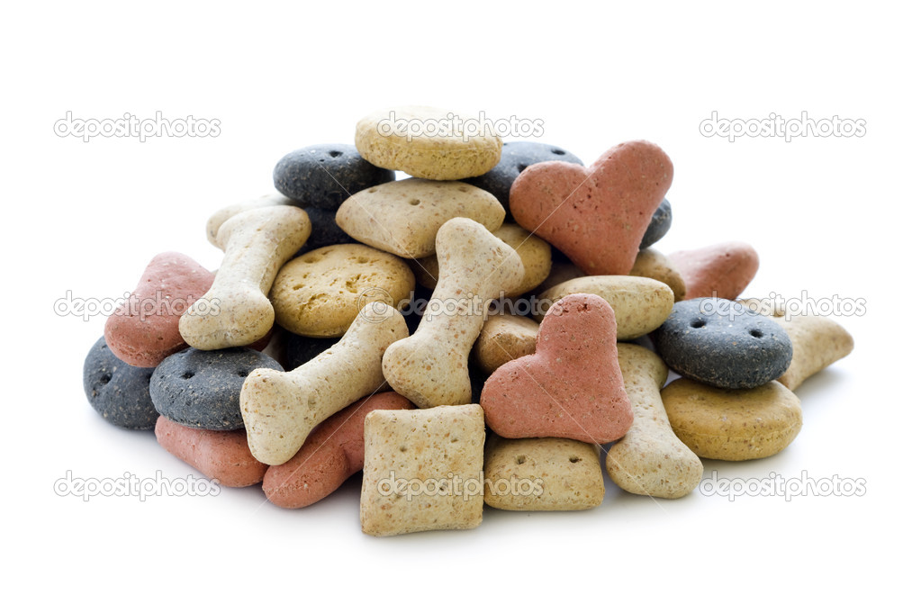 Dry dog biscuits isolated