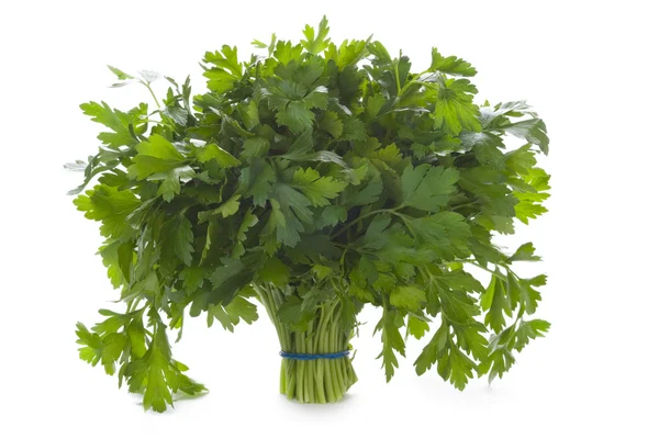 Bunch of flat leaved parsley isolated on a white background — Stock Photo, Image