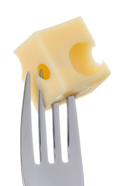 emmental peyniri çatal beyaz arka plan üzerinde