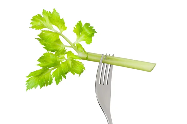 De stengel bleekselderij op vork, geïsoleerd — Stockfoto