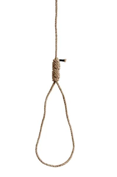 Hangmans rope noose isolated on white — Stock Photo, Image