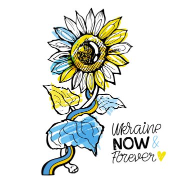 Ukrayna 'yı destekleyen kartpostallar. Mavi sarı Ukrayna bayrağı arkaplanı.