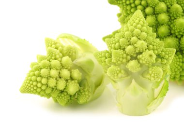 Taze kesilmiş Romanesco brokoli (Brassica oleracea)