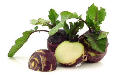 Taze kırmızı yetiştirilmektedir (Brassica oleracea)