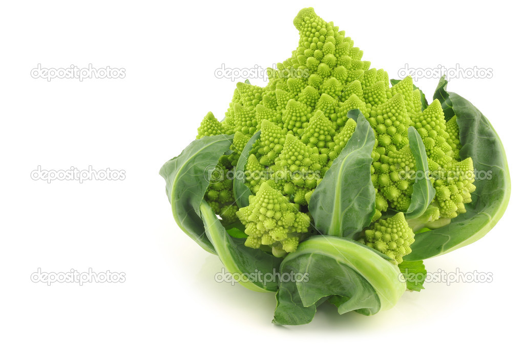 One whole Romanesco broccoli (Brassica oleracea)