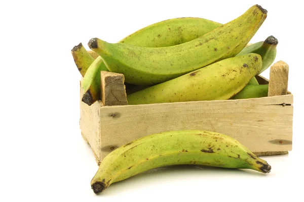 Unripe baking bananas (plantain bananas) in a wooden crate — Stock Photo, Image