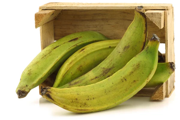 Nezralá, pečení banány (Banány plantejny) v dřevěné bedně — Stock fotografie