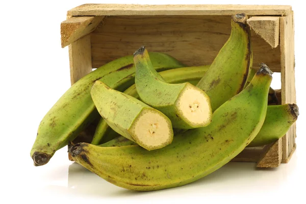 Unripe baking bananas (plantain bananas) and a cut one — Stock Photo, Image