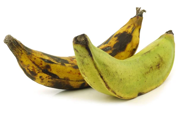 One ripe and one unripe baking banana (plantain banana) — Stock Photo, Image