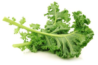 Freshly harvested kale cabbage clipart