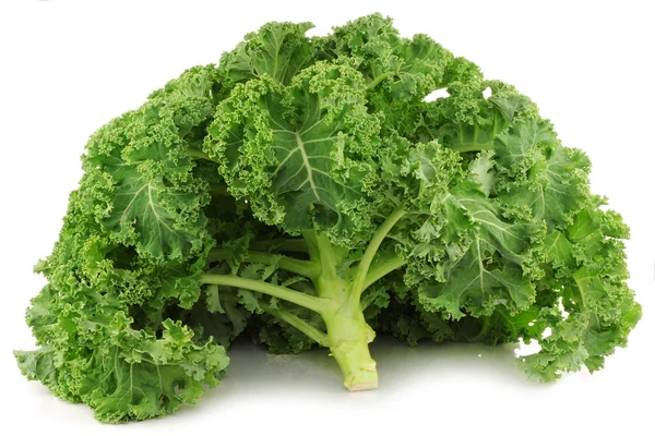 Freshly harvested whole kale cabbage — Stock Photo, Image