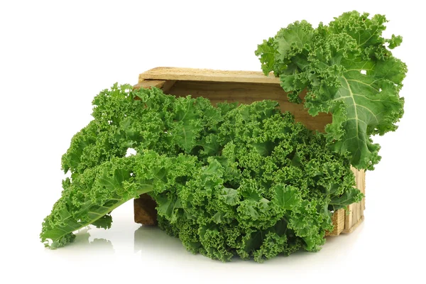 Freshly harvested kale cabbage in a wooden crate — Stock Photo, Image