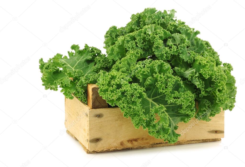 Freshly harvested kale cabbage in a wooden crate
