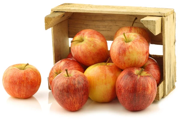 Manzanas frescas de "gala real" en una caja de madera —  Fotos de Stock