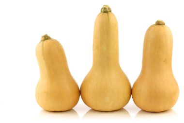 Butternut kabak şeklinde şişe