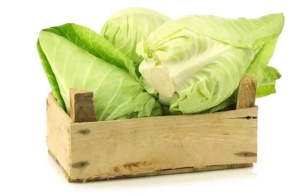 Fresh green pointed cabbages in a wooden crate — Stock Photo, Image
