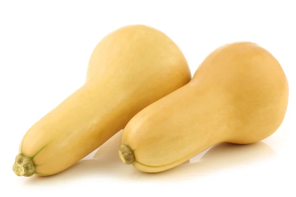 Bottle shaped butternut pumpkins — Stock Photo, Image