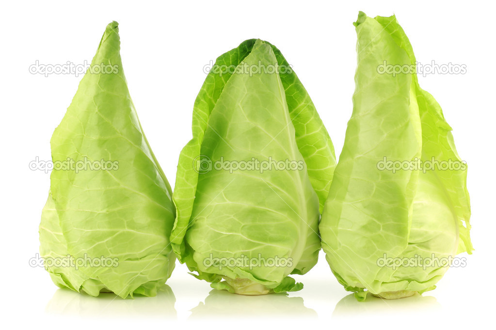 Row of fresh green pointed cabbages
