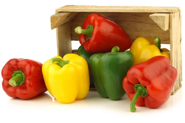 Red,yellow and green bell peppers (capsicum) — Stock Photo, Image