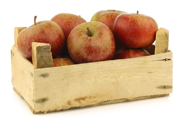 Traditional Dutch apples called "goudrenet" — Stock Photo, Image