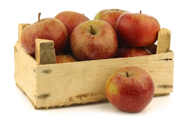 Traditionele Nederlandse appels genaamd "goudrenet" — Stockfoto