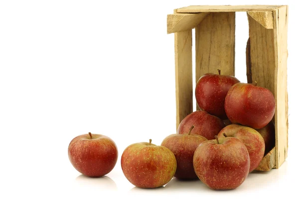 Traditionele Nederlandse appels genaamd "goudrenet" — Stockfoto
