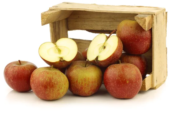 Traditionele Nederlandse appels genaamd "goudrenet" en een verlaging van één — Stockfoto