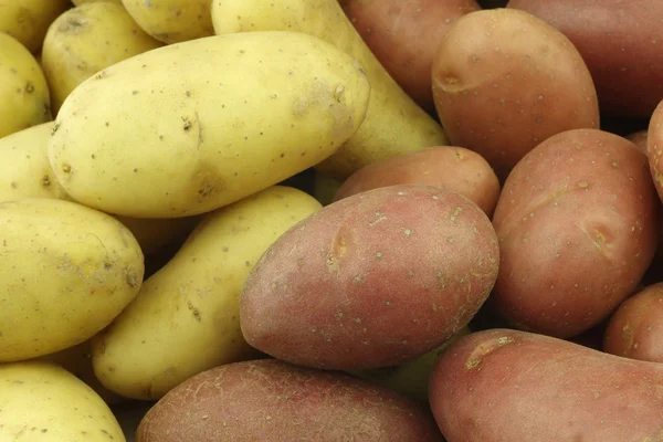 Small red and yellow potatoes — Stock Photo, Image