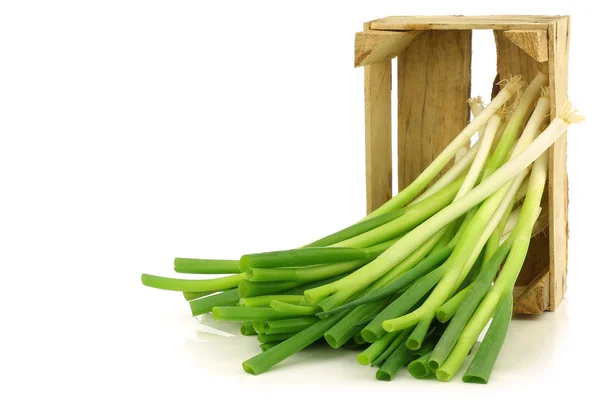 Bos van groene uien in een houten krat — Stockfoto