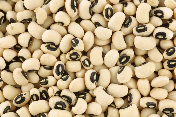 Dried black eyed peas — Stock Photo, Image