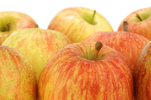 「ふじ」の新鮮なリンゴ — ストック写真