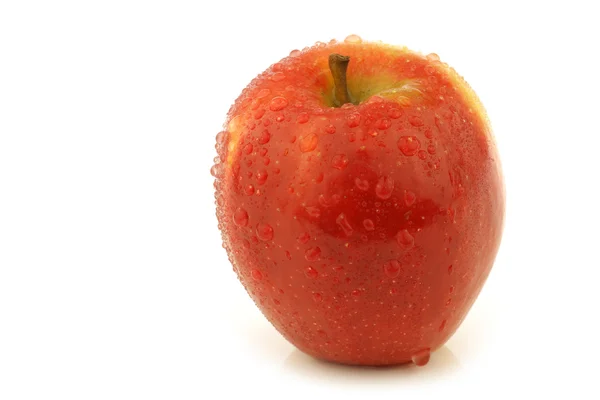 Fresh Dutch "Jazz" apple — Stock Photo, Image