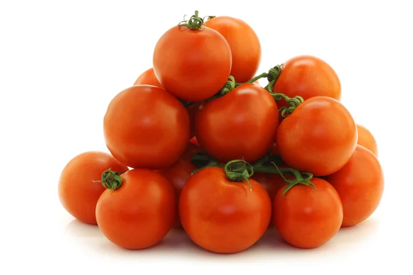 Tomaten am Weinstock — Stockfoto