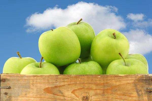 木枠の「グラニースミス」りんごを収穫したて — ストック写真