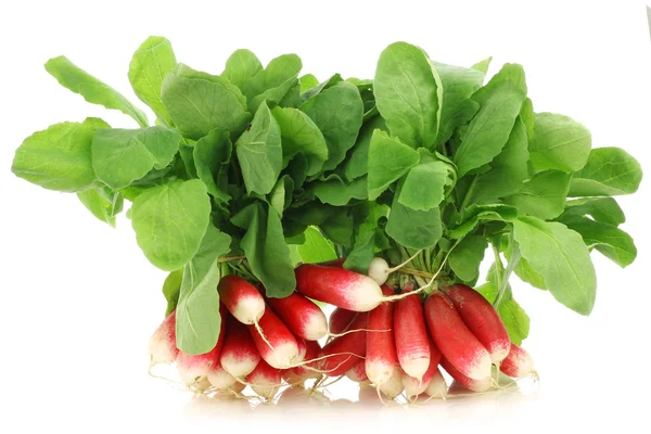 Bundles of fresh red and white radishes — Stock Photo, Image