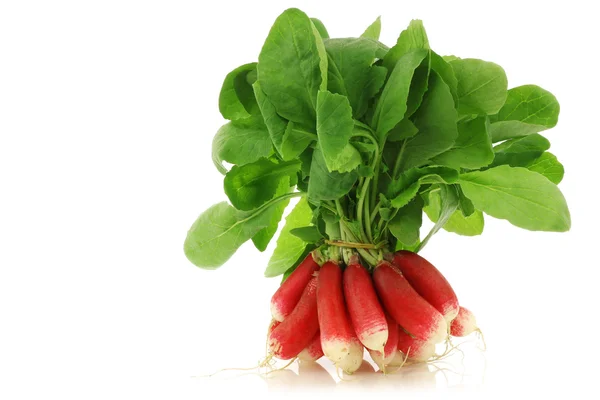 Bundle of fresh red and white radishes — Stock Photo, Image