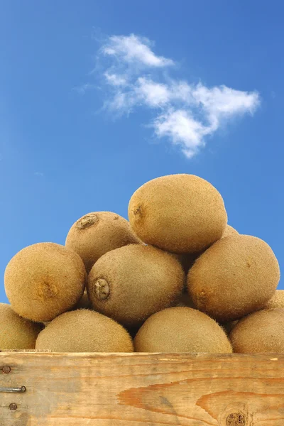 Kiwifrüchte in einer Holzkiste — Stockfoto