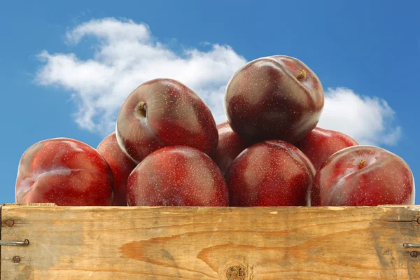 Ciruelas rojas frescas en una caja de madera —  Fotos de Stock