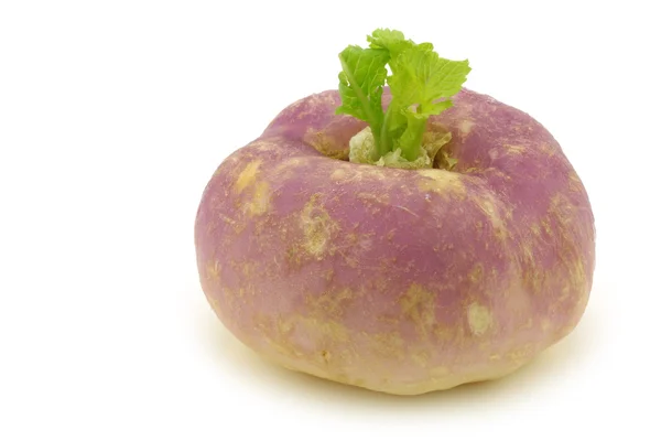 Freshly harvested spring turnips (Brassica rapa) — Stock Photo, Image