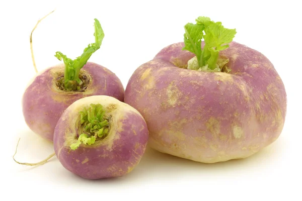 Nabos recién cosechados de primavera (Brassica rapa ) — Foto de Stock