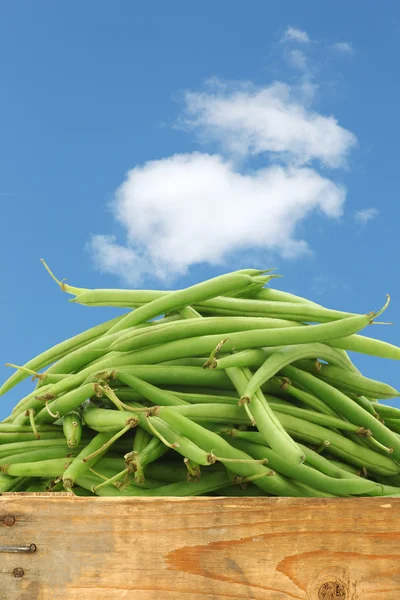 Bunch of green beans in a wooden crate — Stock Photo, Image