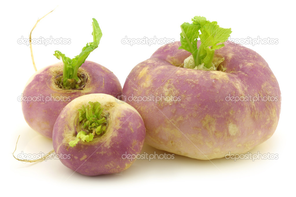Freshly harvested spring turnips (Brassica rapa)