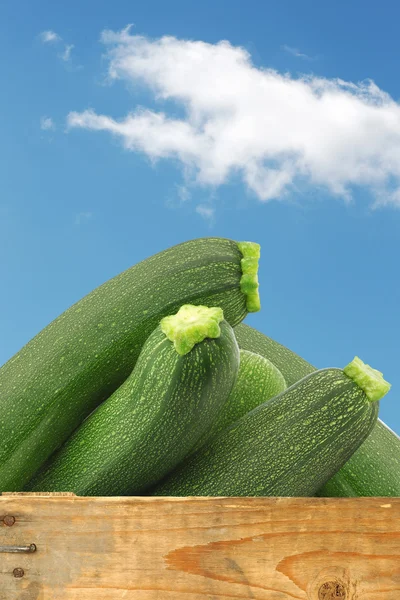 Fresh zucchini's (Cucurbita pepo) in a wooden box — Stock Photo, Image