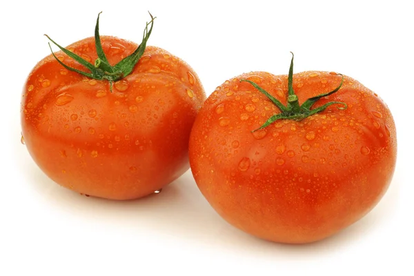 Fleischtomaten — Stockfoto