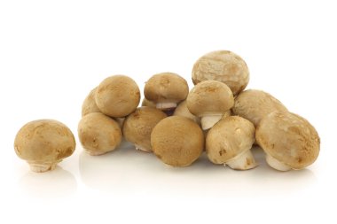 demet champignon mantar